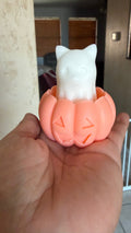 Kitty in a pumpkin