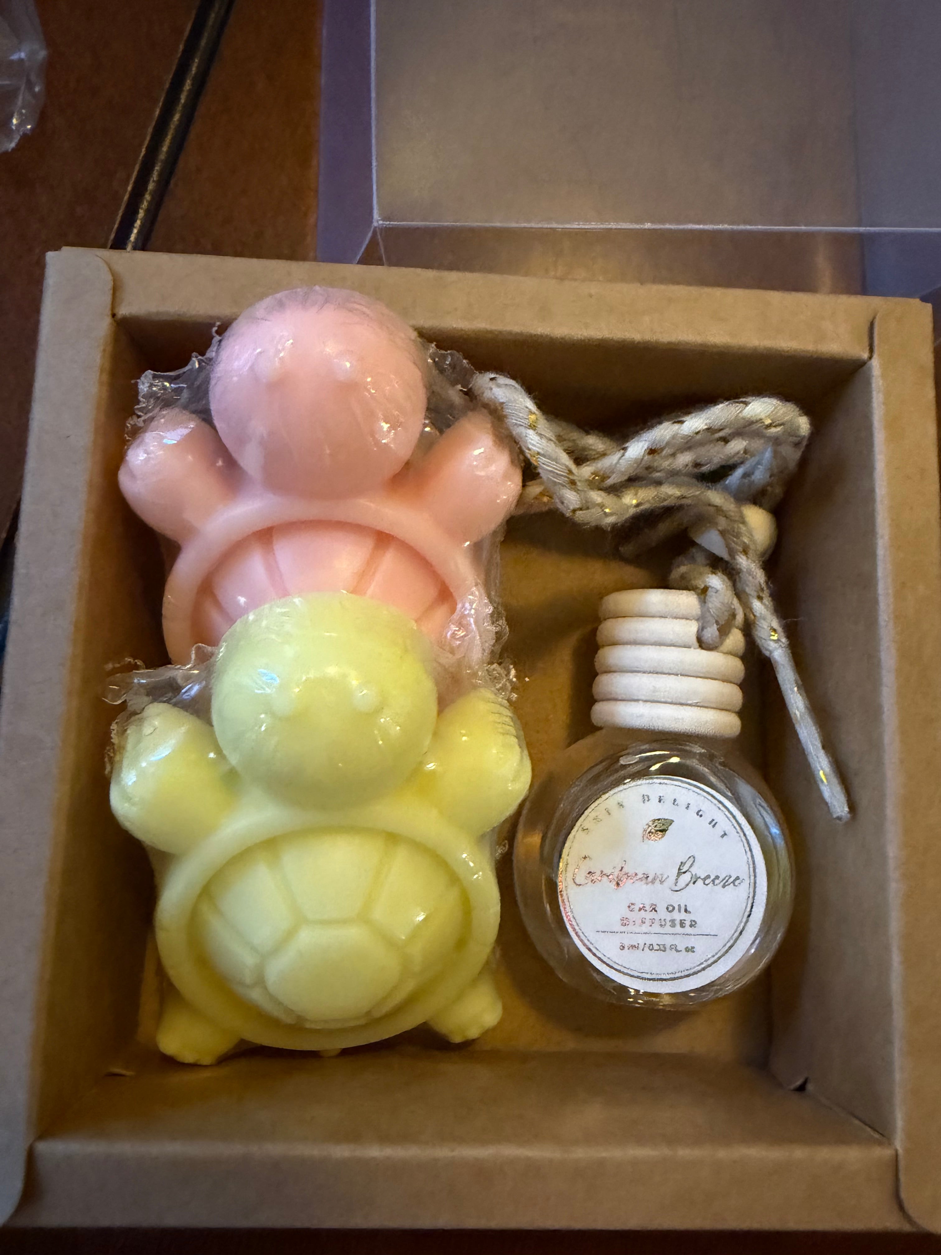 The Daily Refresh:Turtles Gift Set